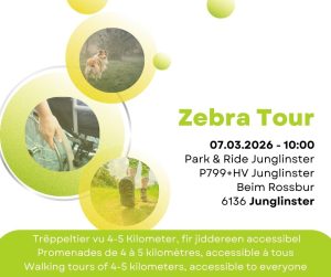 Zebra Tour Junglinster