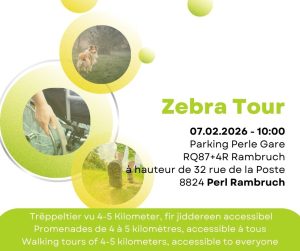 Zebra Tour Perlé