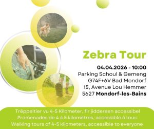 Zebra Tour Mondorf
