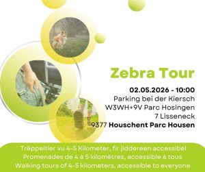 Zebra Tour Houschent